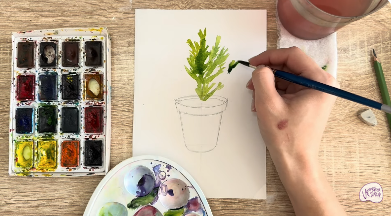 Рисуем Криптомерия японская