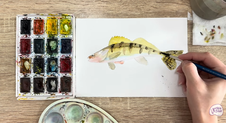 Рисуем Берш