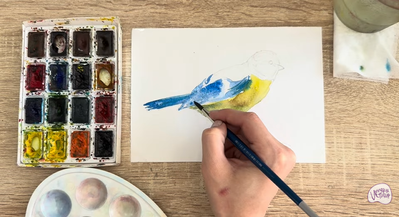 Рисуем Обыкновенная лазоревка