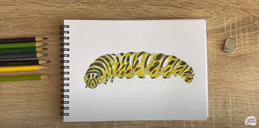 Рисуем Гусеница
