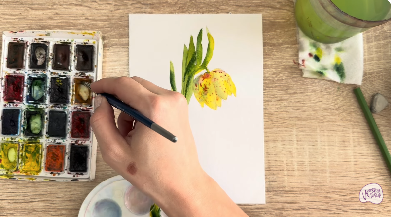 Рисуем Желтый рябчик