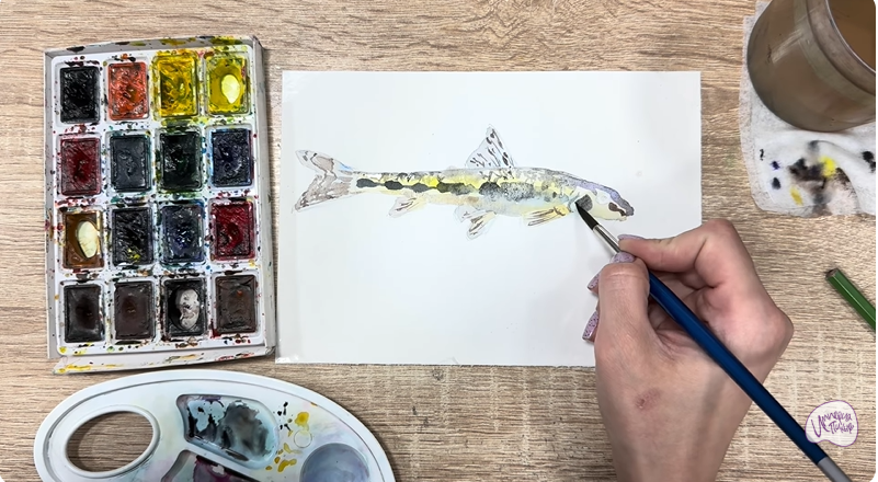 Рисуем Ленский пескарь