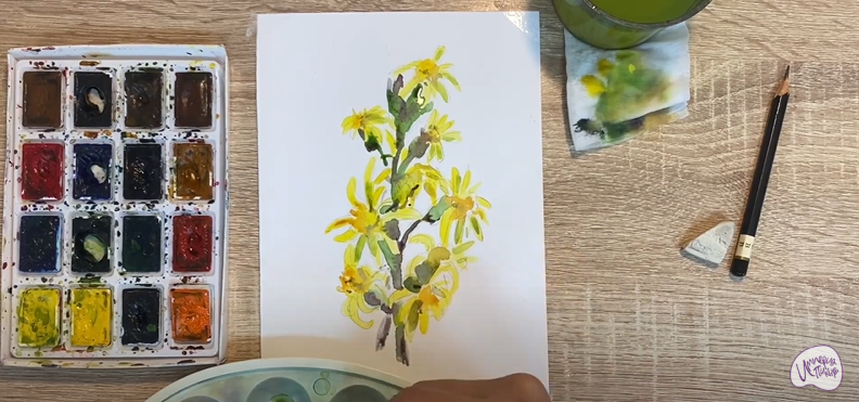 Рисуем Бузульник сибирский
