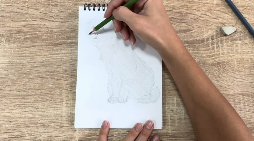 Рисуем Американский кёрл Рисуем Американский кёрл