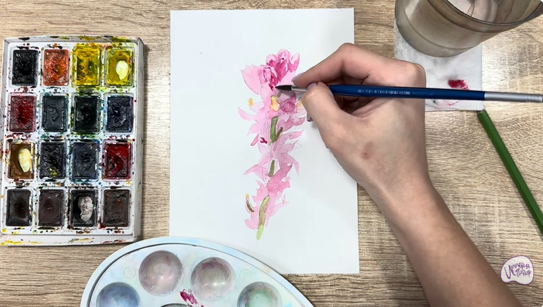 Рисуем Мирикария лисохвостая