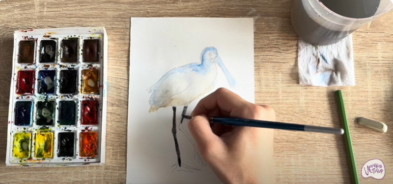 Рисуем Колпица Рисуем Колпица
