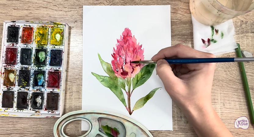 Рисуем Целозия