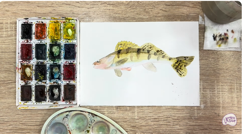 Рисуем Берш