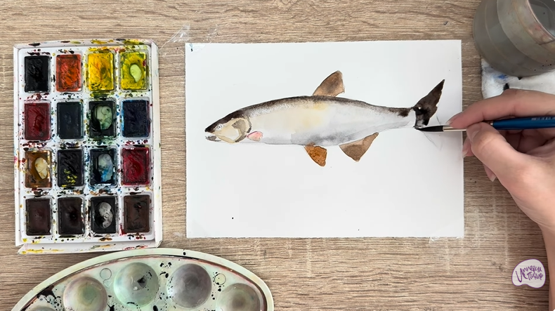 Рисуем Голавль