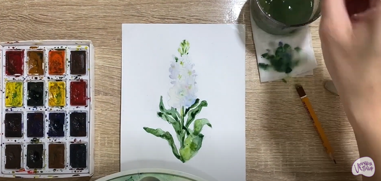 Рисуем Цветок "Маттиола"