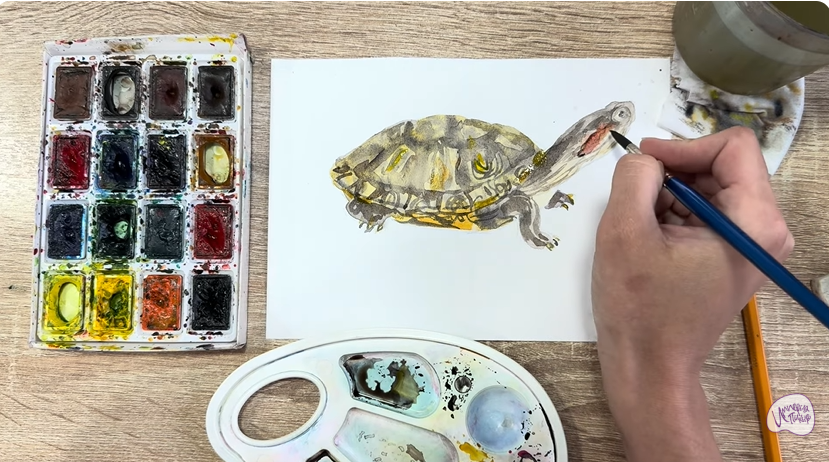 Рисуем Красноухая черепаха