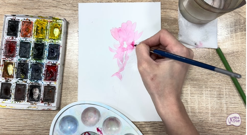 Рисуем Мирикария лисохвостая