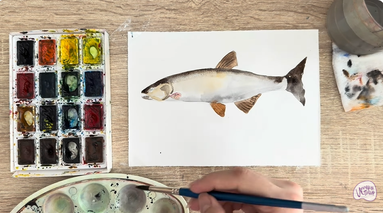 Рисуем Голавль