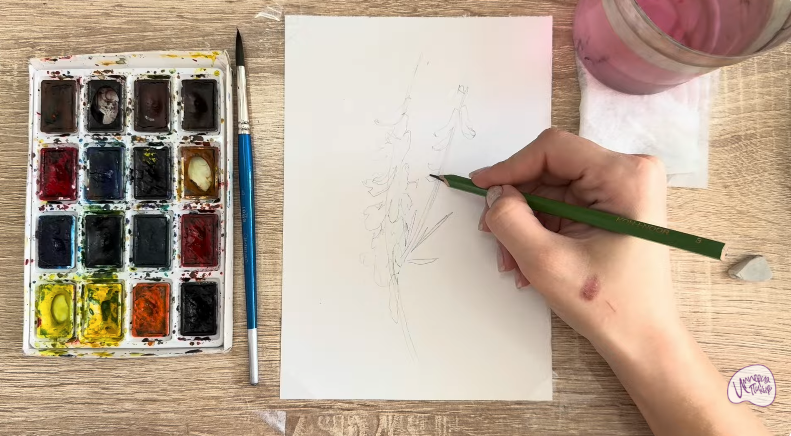 Рисуем Мышиный горошек