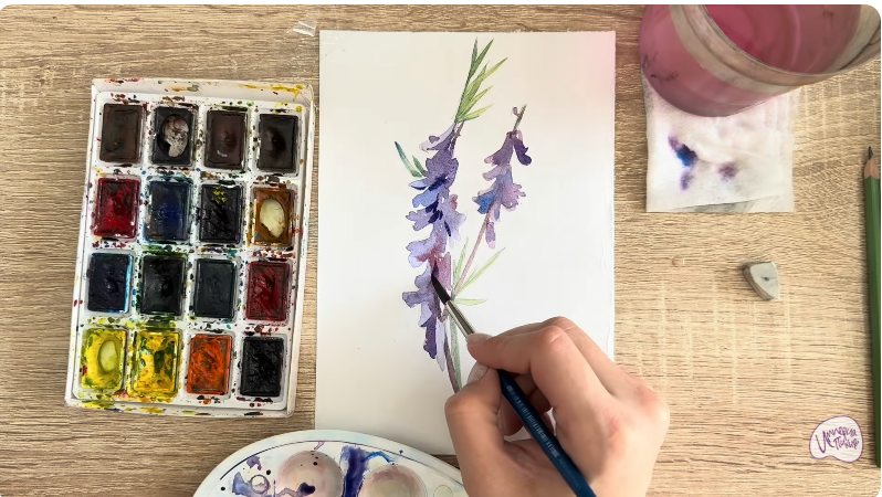 Рисуем Мышиный горошек