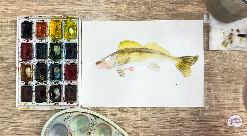 Рисуем Берш