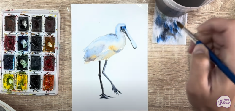 Рисуем Колпица Рисуем Колпица