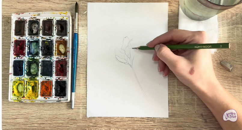 Рисуем Чина луговая