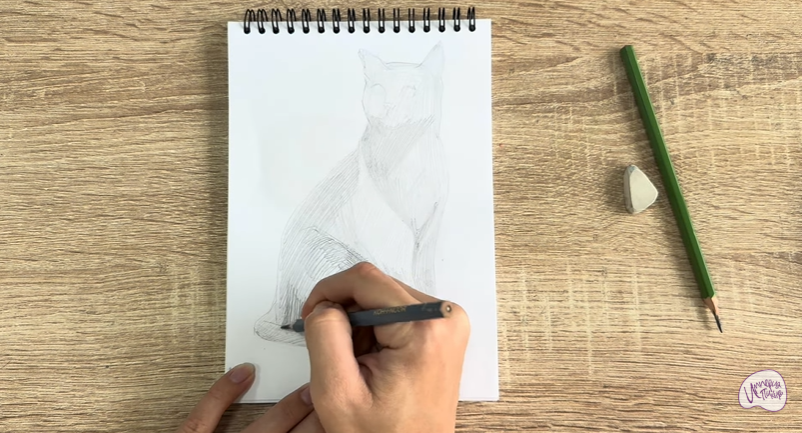 Рисуем Бурманский кот Рисуем Бурманский кот