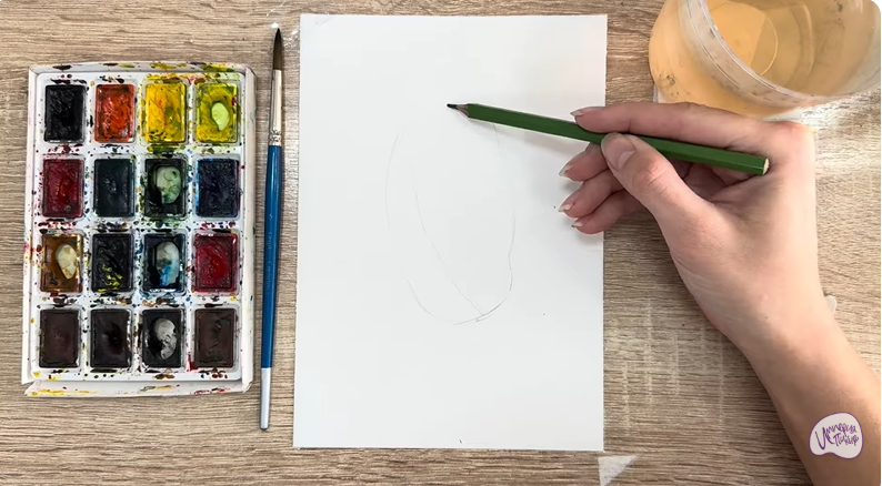 Рисуем Акебия