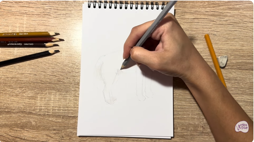 Рисуем Динго