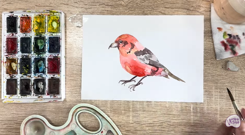 Рисуем Клест - еловик