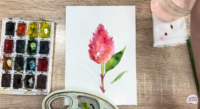 Рисуем Целозия