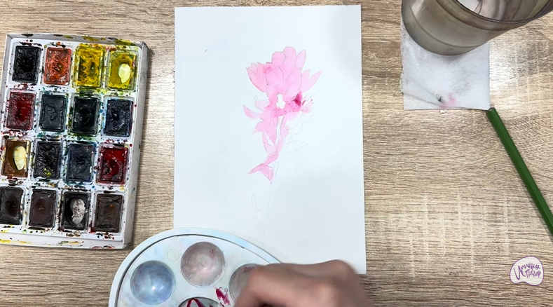 Рисуем Мирикария лисохвостая