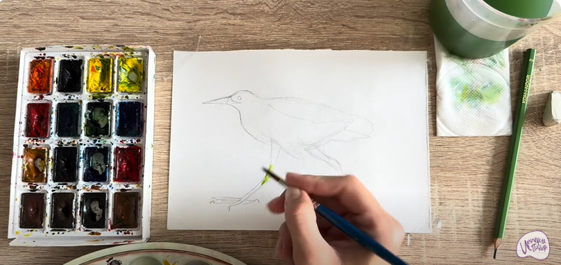 Рисуем Выпь Рисуем Выпь