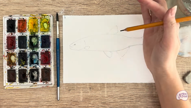 Рисуем Голавль