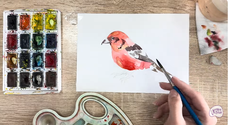 Рисуем Клест - еловик