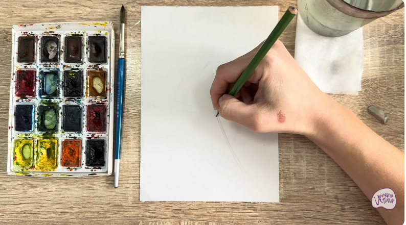 Рисуем Чина луговая