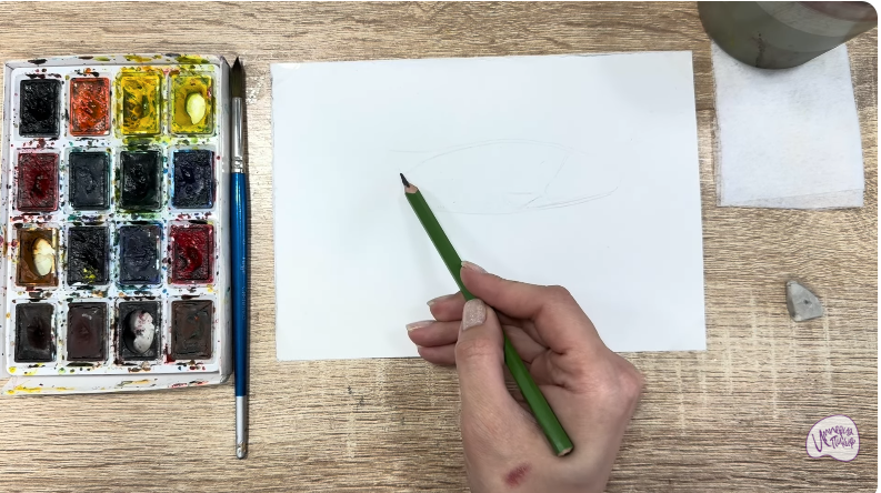 Рисуем Чернокрапчатый ворчун