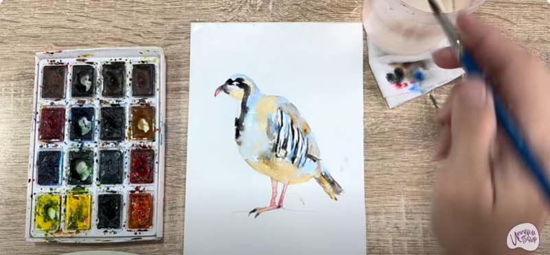Рисуем Кеклик Рисуем Кеклик