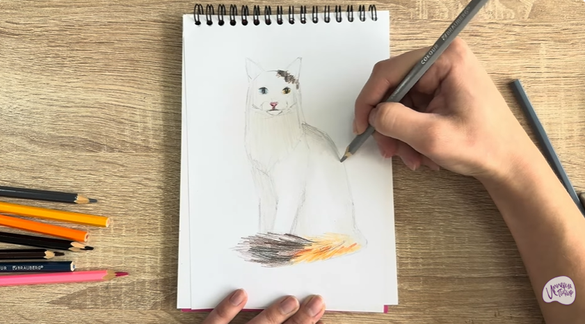 Рисуем Кот породы "Турецкий ван"