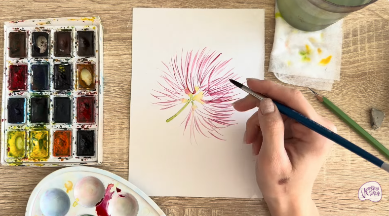 Рисуем Альбиция