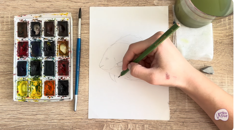 Рисуем Платакс