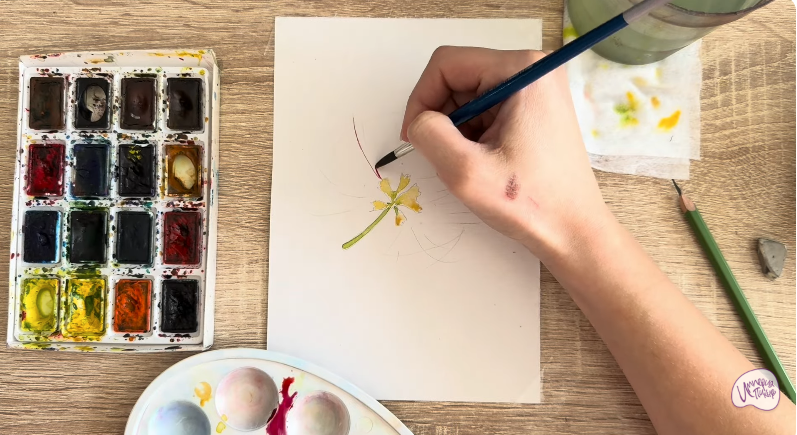 Рисуем Альбиция