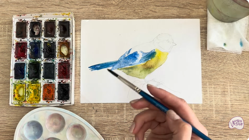 Рисуем Обыкновенная лазоревка