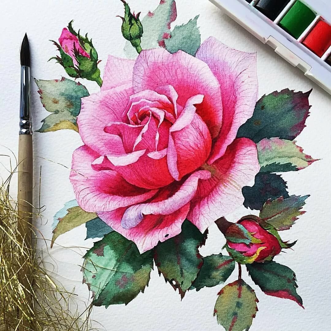 Рисуем Скетчбук для акварели