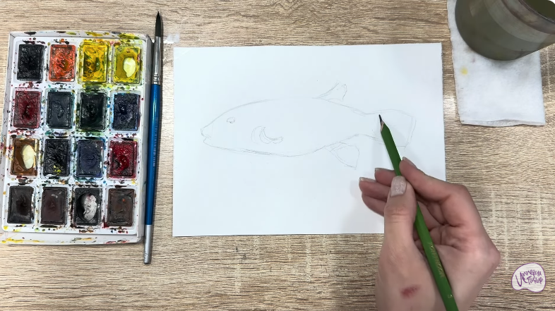 Рисуем Аротрон звёздчатый