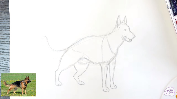 Рисуем Немецкая овчарка