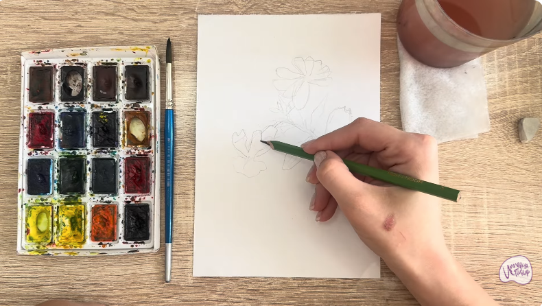 Рисуем Розовая смолёвка