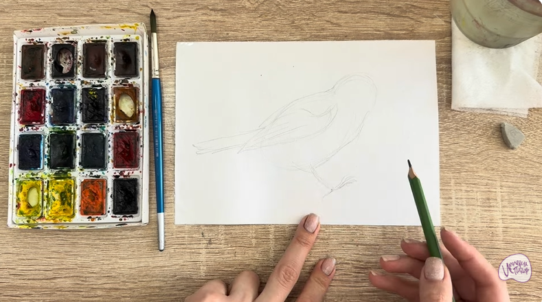 Рисуем Обыкновенная лазоревка