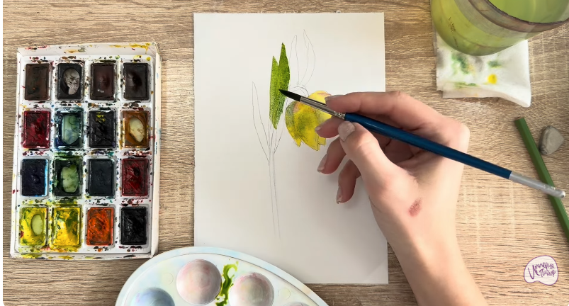 Рисуем Желтый рябчик