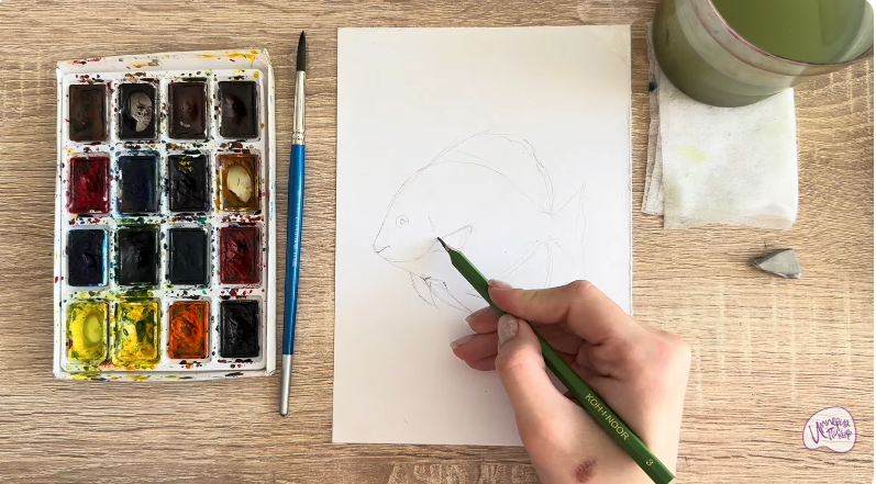 Рисуем Платакс