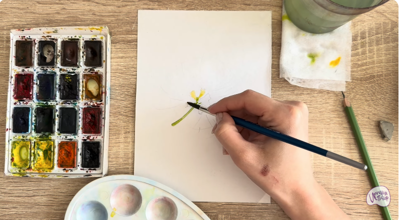 Рисуем Альбиция