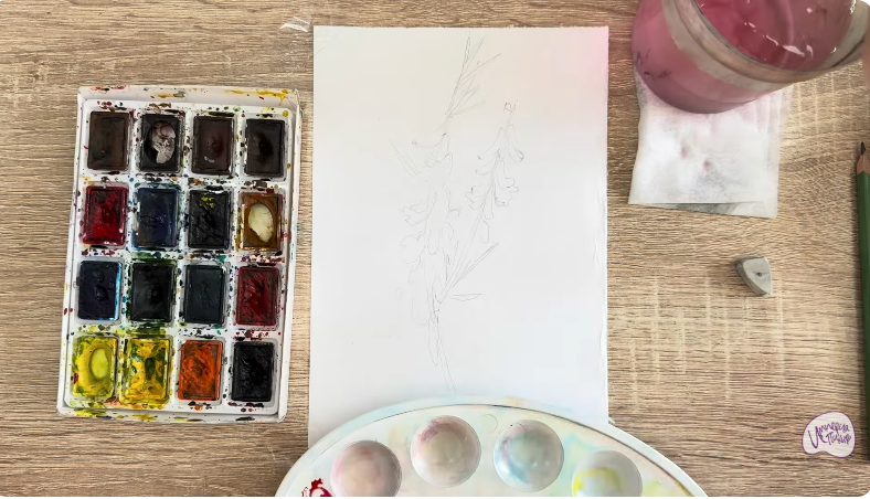 Рисуем Мышиный горошек