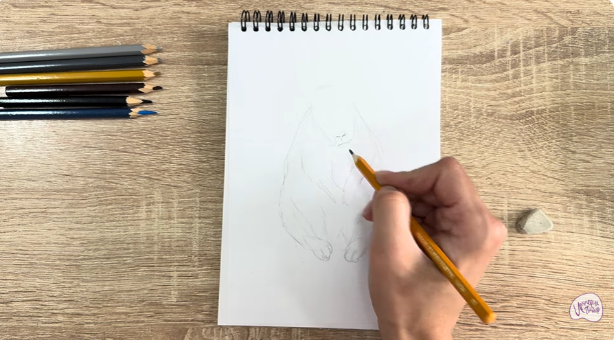 Рисуем Горная вискаша
