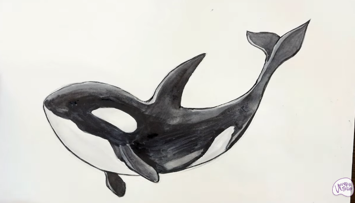 Рисуем Касатка